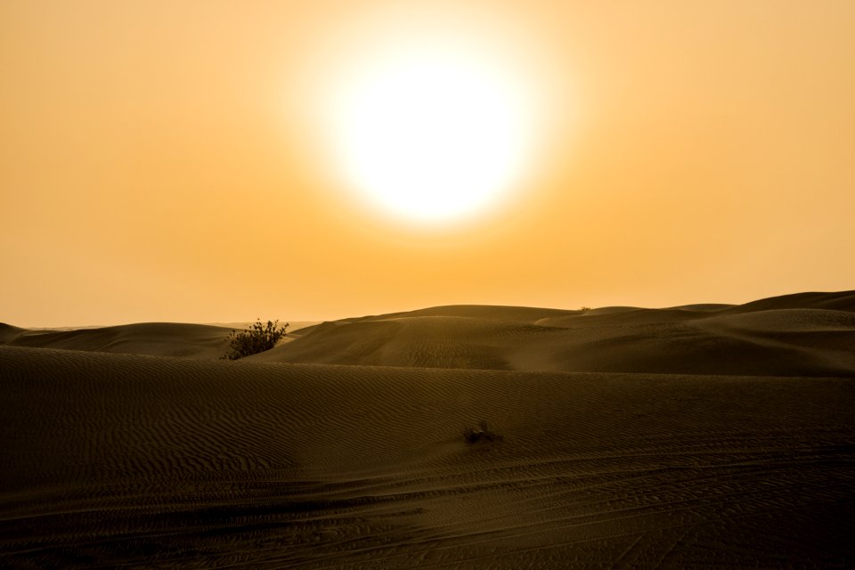 Desert Under Yellow Sunset