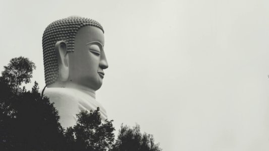 Buddha Statue Grayscale Photo photo