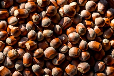 Plenty Of Nuts