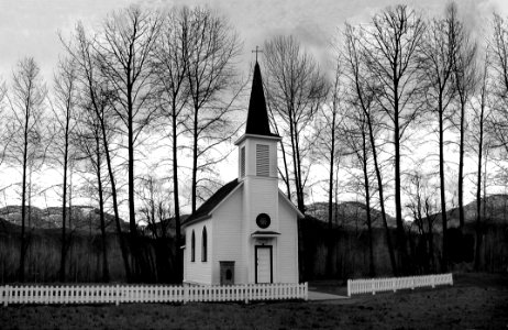 Church Behind Of Bare Trees