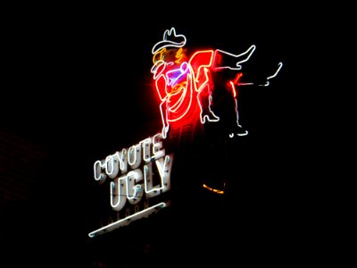 Coyote Ugly Neon Signage photo