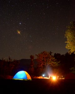 Photo Of Blue And Yellow Lighted Dome Tent Surrounded By Plants During Night Time photo