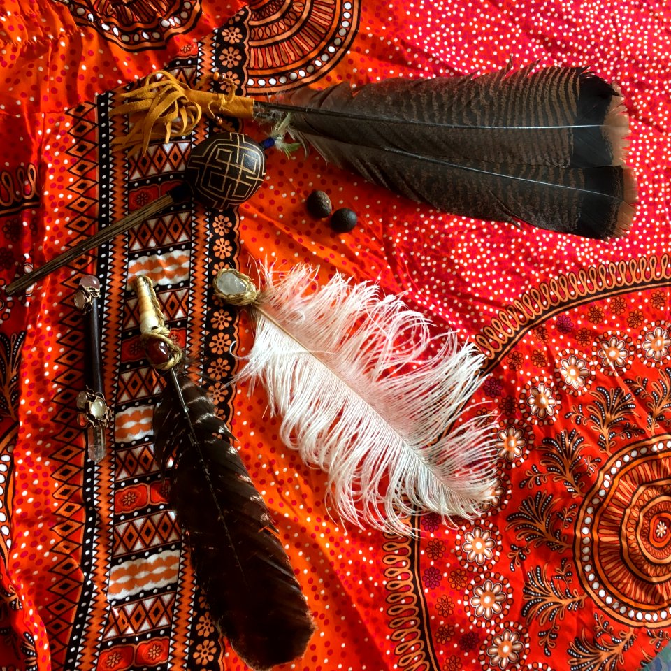 Brown Black And White Feather Accessories photo