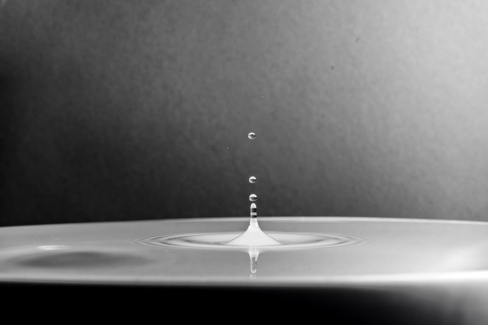 Water In Grayscale And Micro Photography