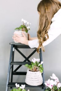 Woman Taking Care Plants photo