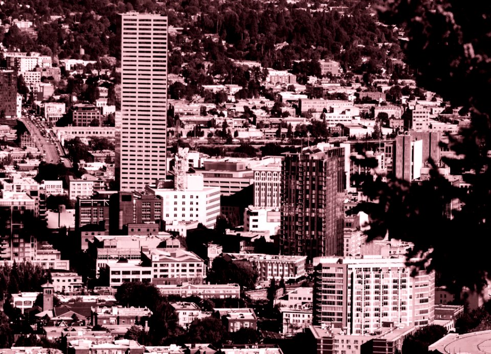 Sepia Photography Of Cityscape