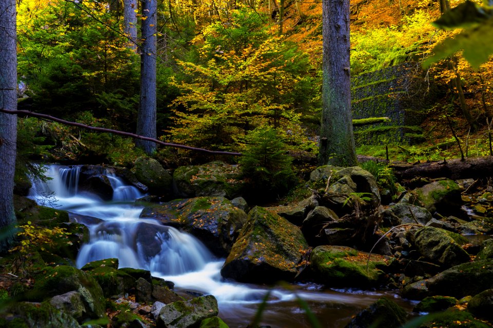 Timelapse Photography Of Falls Near Trees photo