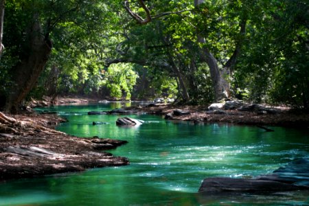 Body Of Water Between Green Leaf Trees