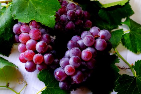 Grape Fruits