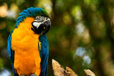 Zoo Parque Itatiba -