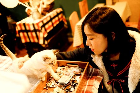 Woman In Black And White Coat Holding A White Cat