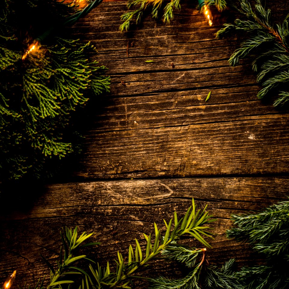 Plants On Top Of The Wooden Surface