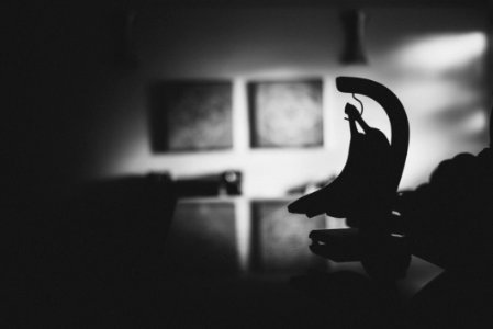 Silhouette Photography Of Banana Hook Decor photo