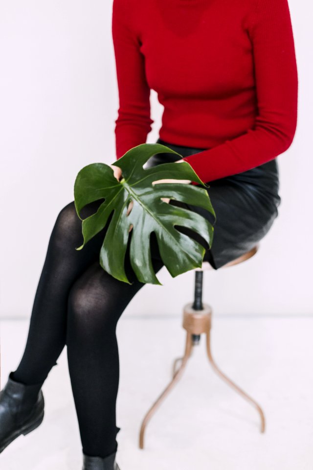 Woman In Red Sweater And Black Pants Holding Green Leaf