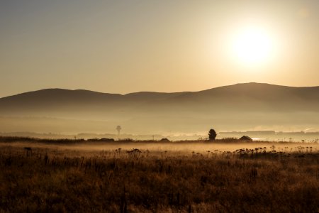 Brown Field During Sunset photo