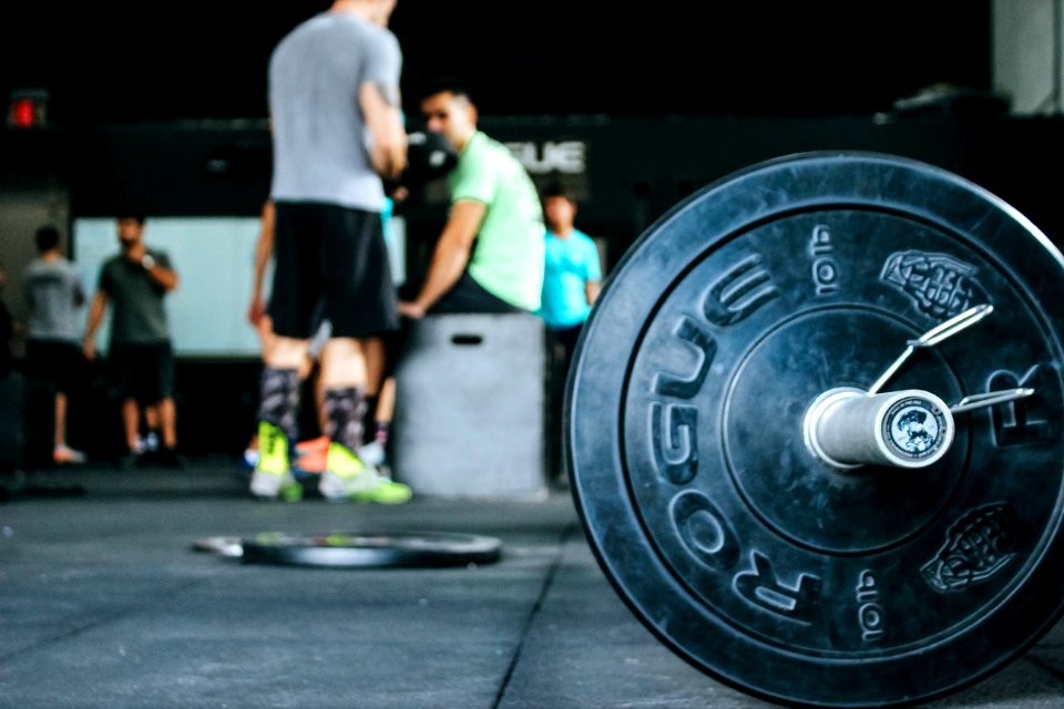 10 Lb Rogue Weight Plate Near People Gathered