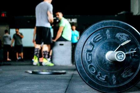 10 Lb Rogue Weight Plate Near People Gathered photo