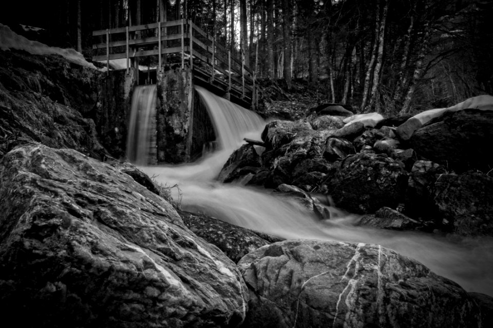 Black-and-white Creek Environment photo