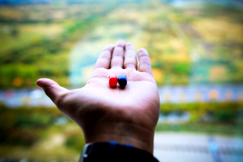 Red And Blue Jelly Beans On Persons Left Palm