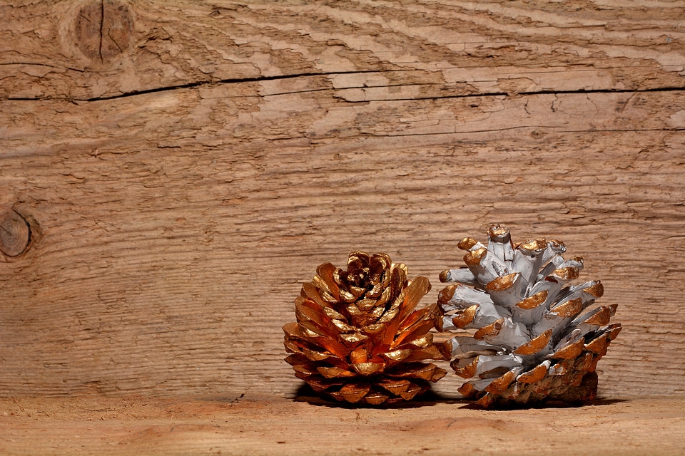 Pine cones wood background