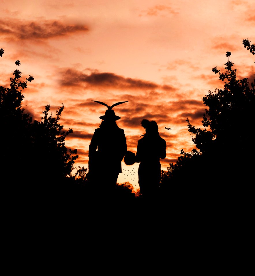 Silhouette Photography Of Male And Female