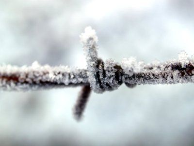 Closeup Photography Of Ice Covered Metal Wire photo