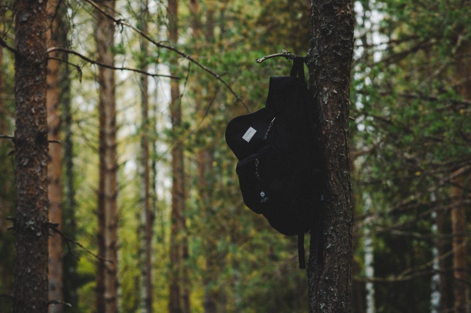 Black Backpack Hanging On Tree