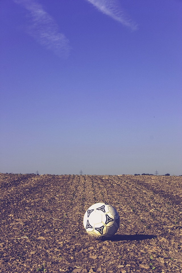 Training ball ball white