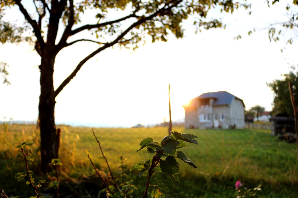Agriculture Countryside Cropland