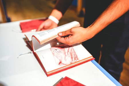 Book In Mens Hands photo