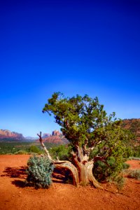 Daylight Desert Environment photo