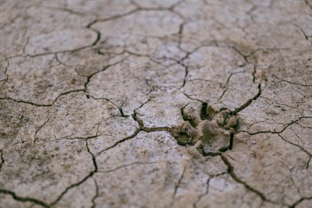 Arid Calamity Crack photo