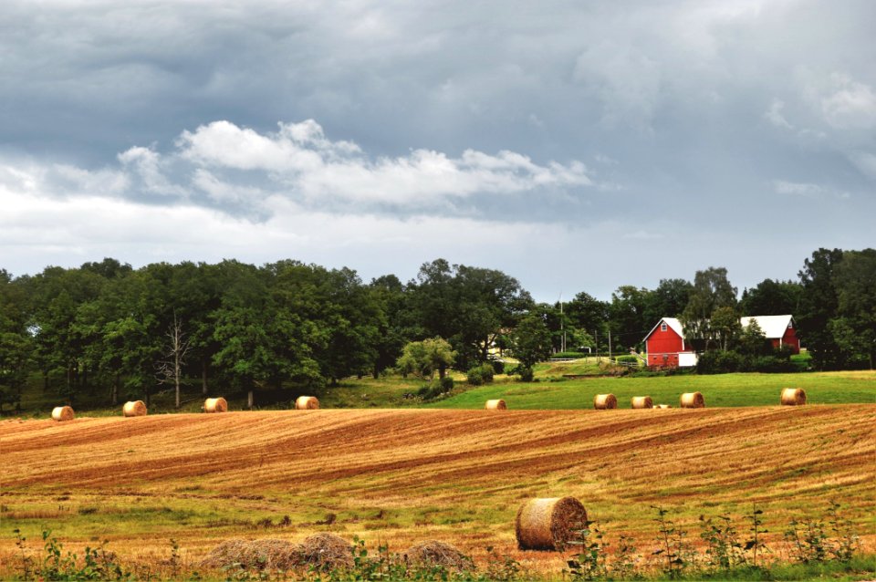 Agriculture Clouds Country