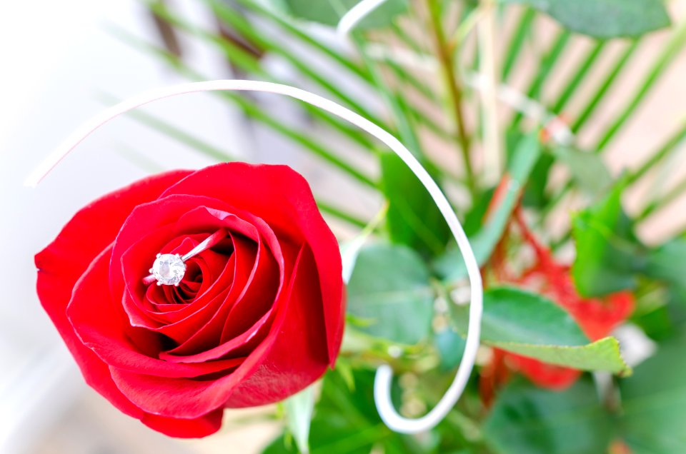 Anniversary Background Beautiful