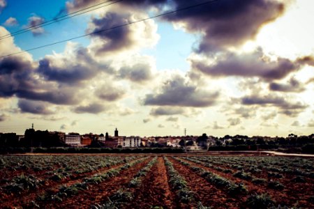 Agriculture Buildings Cielo