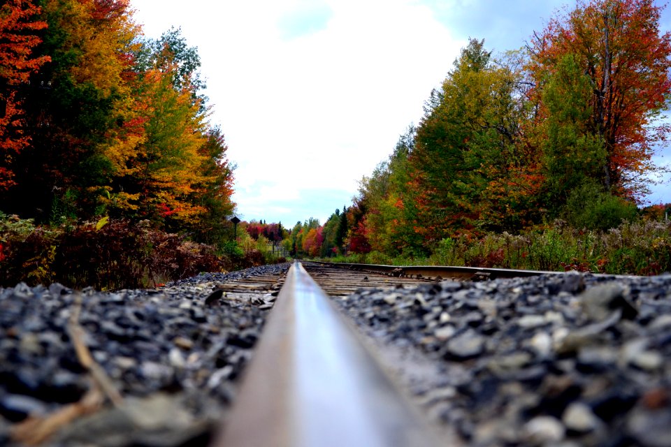 Autumn Canada Fall
