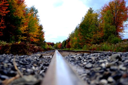 Autumn Canada Fall
