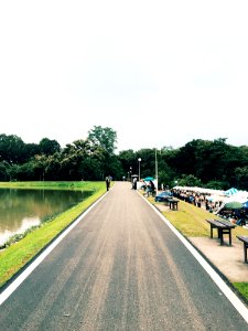 Asphalt Benches Bridge