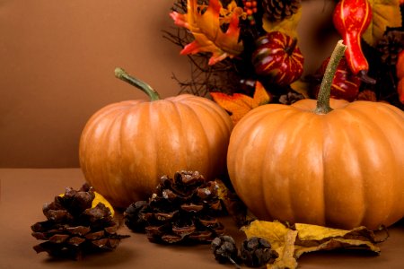 Agriculture Autumn Background
