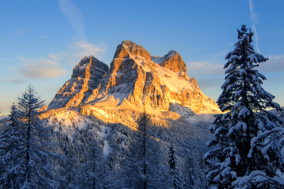 Snow Covered Mountain With Pine Trees photo