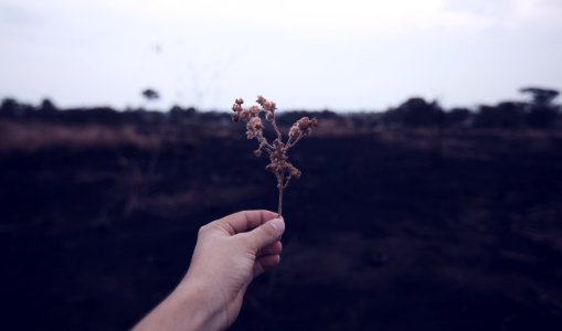 Dhyamis Kleber Hand