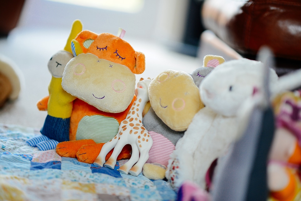 Several animals plush