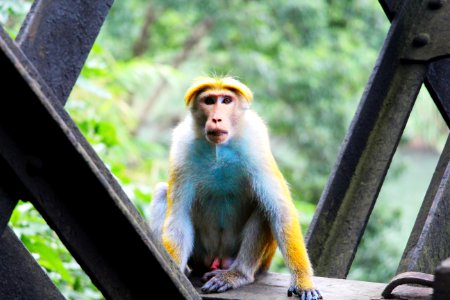 Animal Photography Cute