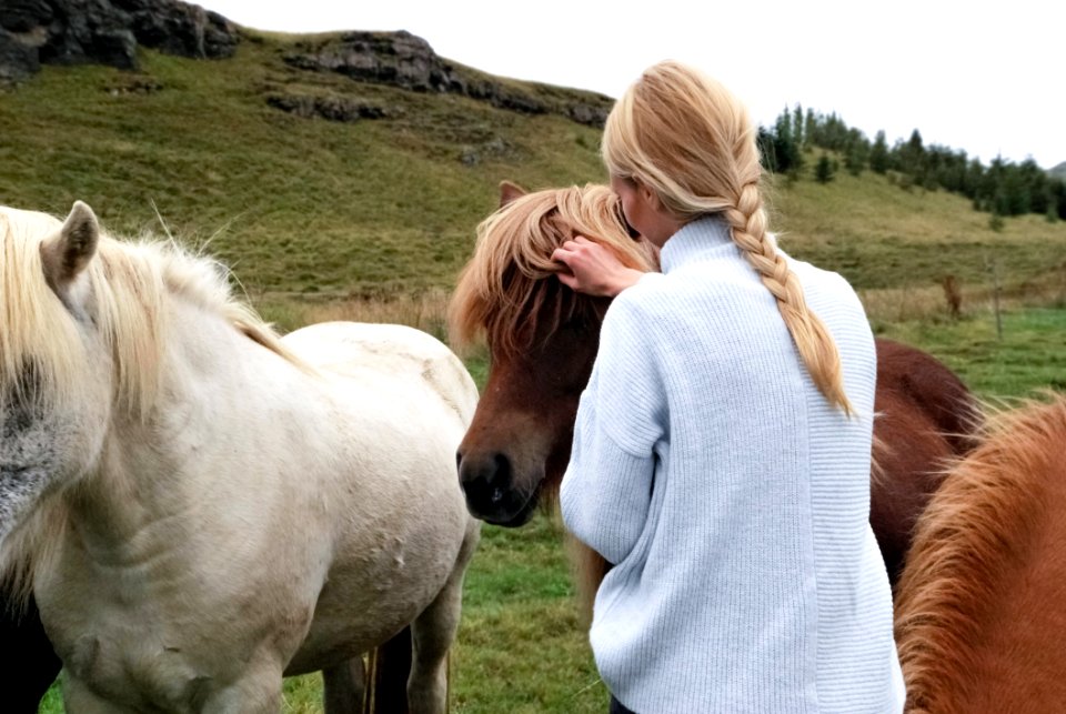 Agriculture Animals Care