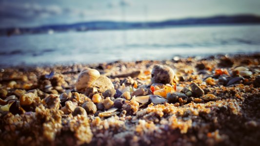 Beach Blur Close-up photo
