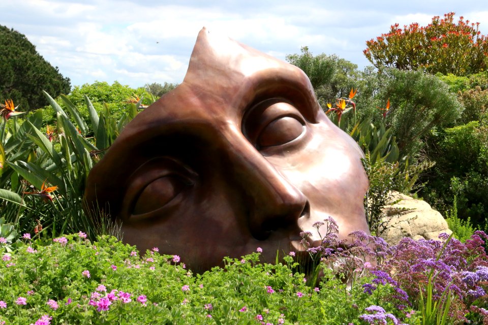 Art Beautiful Bloom