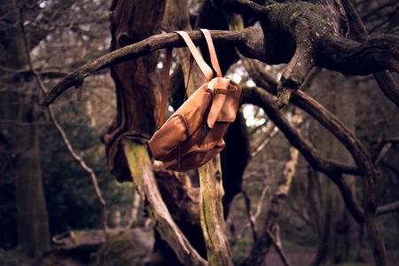 Backpack Bag Branches photo