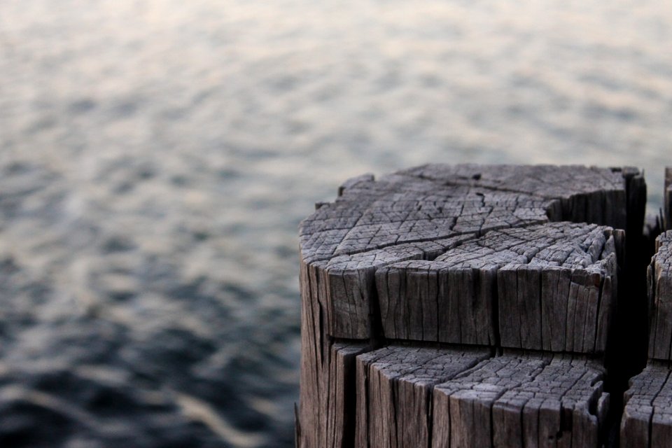 Harbor Lake Macro