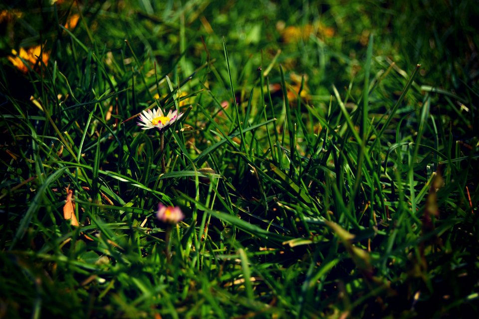 Blooming Blur Depth