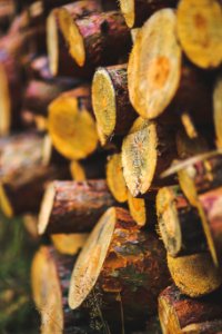 Wood For The Winter